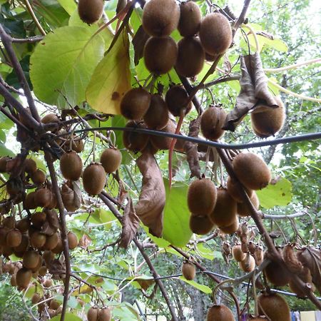 Le Bourmier Anlhiac Near Excideuil别墅 外观 照片