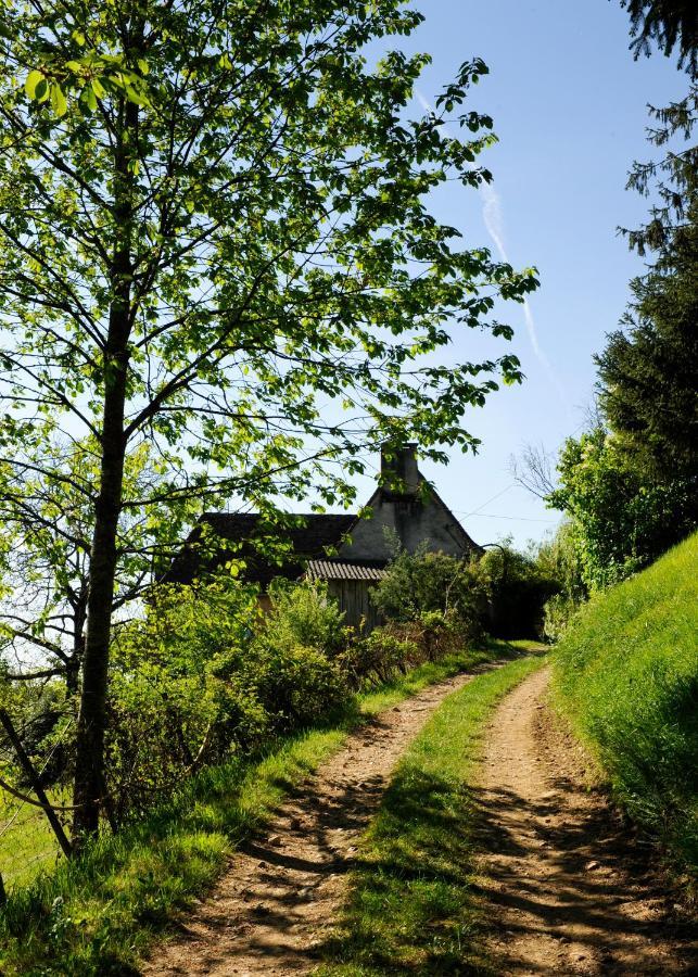 Le Bourmier Anlhiac Near Excideuil别墅 外观 照片