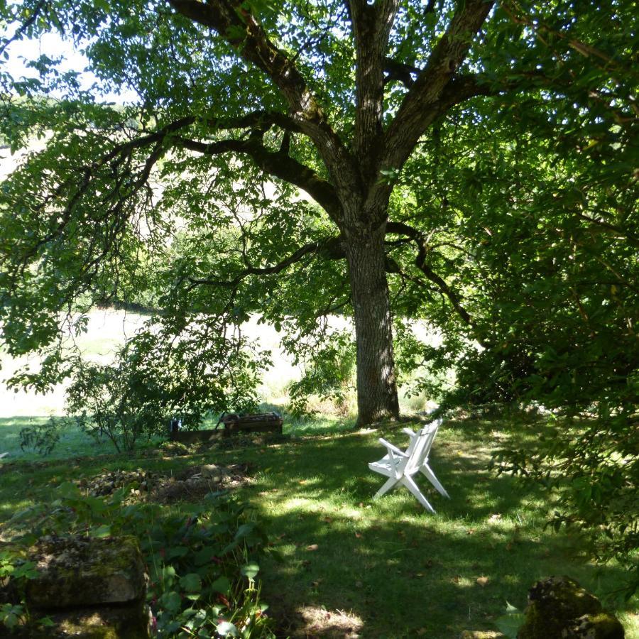Le Bourmier Anlhiac Near Excideuil别墅 外观 照片