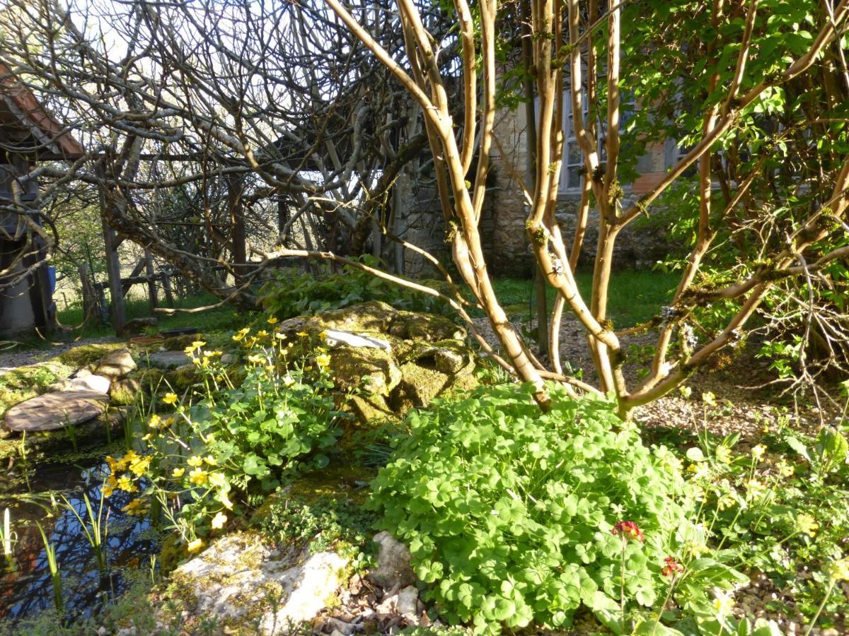 Le Bourmier Anlhiac Near Excideuil别墅 外观 照片